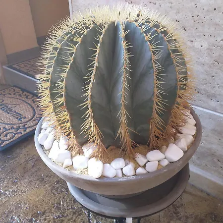 Casa de hóspedes Time Out