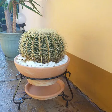 Time Out Pensionat 4*