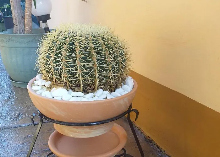 Time Out Къща за гости 4*