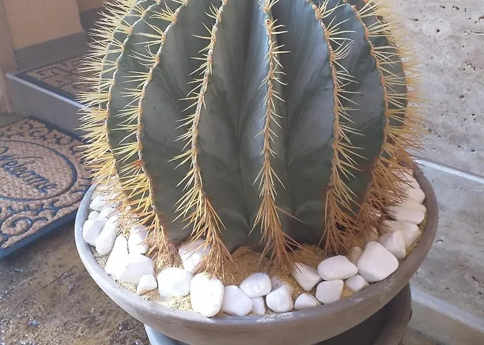 Къща за гости Time Out